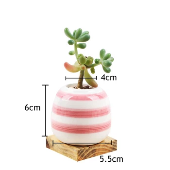 Pakendis 6tk Roosa Seeria Keraamilised Mini istutusmasinad Succulents Cactus Air Taimed, Käsitöö lillepotid Tabletop Home Decor